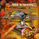���� ������, ������ - ��������� 1 �������� 2014 � ������ ������ ��������