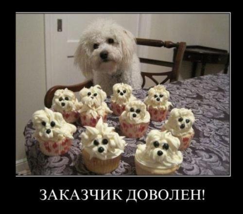 .&bull;&deg;Dogs Forever&deg;&bull;. - 24 ������� 2014 � 20:43