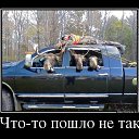 ���� ������, �������, 56 ��� - ��������� 25 ������� 2014 � ������ ���� ����������