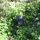 ���� �����, ��������, 49 ��� - ��������� 18 ������ 2014