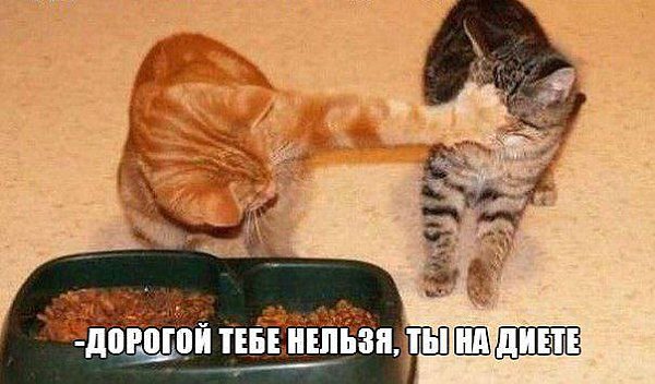 ���� ������� :3 - 30 ������� 2014 � 14:24