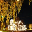 ���� ����, ������������, 41 ��� - ��������� 11 ������ 2014 � ������ ������ ��������