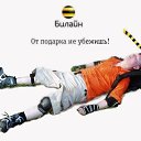 ���� ������, ������, 48 ��� - ��������� 30 ������� 2014 � ������ �....�