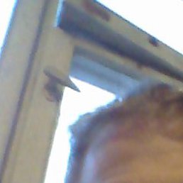 ������, �����, 46 ���