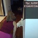 ���� �����, ����, 36 ��� - ��������� 4 ������� 2014 � ������ ������ ��������