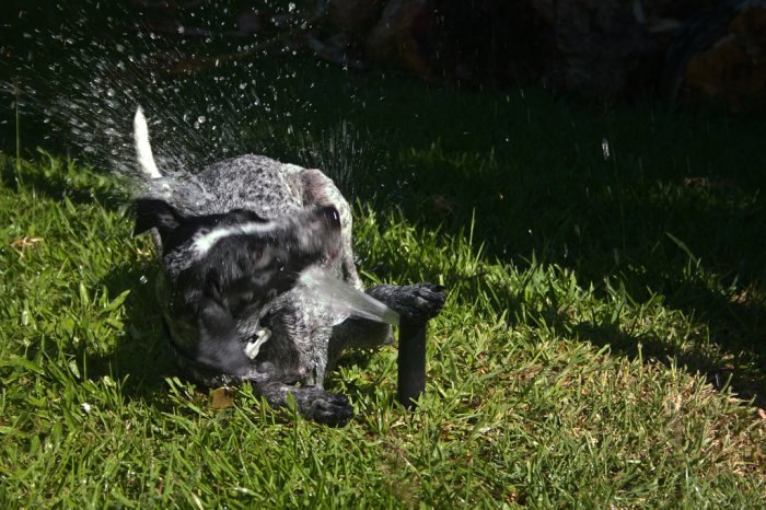  :   .           ... - 5