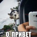 ���� ���������, ���������, 41 ��� - ��������� 25 ������� 2014 � ������ ������ ��������
