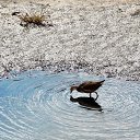 �������� 2014. ��������. �� ������� ������� ��������)))�