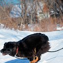 ���� Leonid, ������������, 55 ��� - ��������� 22 ������� 2014 � ������ ���� ����������