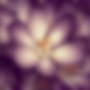 ���� .������., ������ - ��������� 1 �������� 2014 � ������ �5�