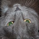 ��� ������� �� ������� ���� ����������