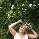  , -, 64  -  10  2014    