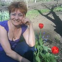 ���� �������, ���� - ��������� 12 ������� 2014 � ������ ���� ����������