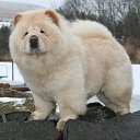 ���� ����, ��� - ��������� 10 �������� 2014 � ������ ���� ����������