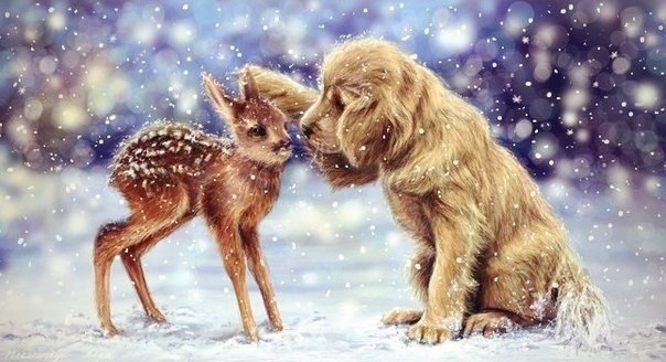 � ���� �������� - 29 ������ 2014 � 20:02