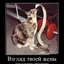 ���� ***�����***, ������ - ��������� 26 ������� 2014 � ������ ������ ��������