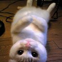 ���� �������, ��������, 30 ��� - ��������� 29 ������� 2014 � ������ ���� ����������