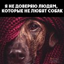 ���� ���������, ���������, 36 ��� - ��������� 28 �������� 2014 � ������ ������ ��������