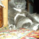 ���� ������, ��������, 65 ��� - ��������� 21 ������ 2014 � ������ ���� ����������