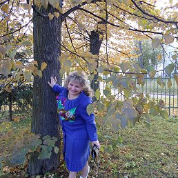 ���� ��������, �����-���������, 62 ���� - ��������� 18 ������� 2014