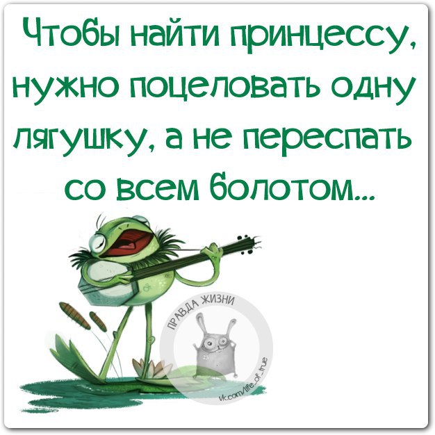 Лягушка на болоте анекдот. Смешные фразы про лягушек. Смешные фразы про жаб. Позитивные фразочки в картинках. Лягушка высказывания.