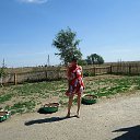 � �� �������-� ������� �� ������� ���� ����������