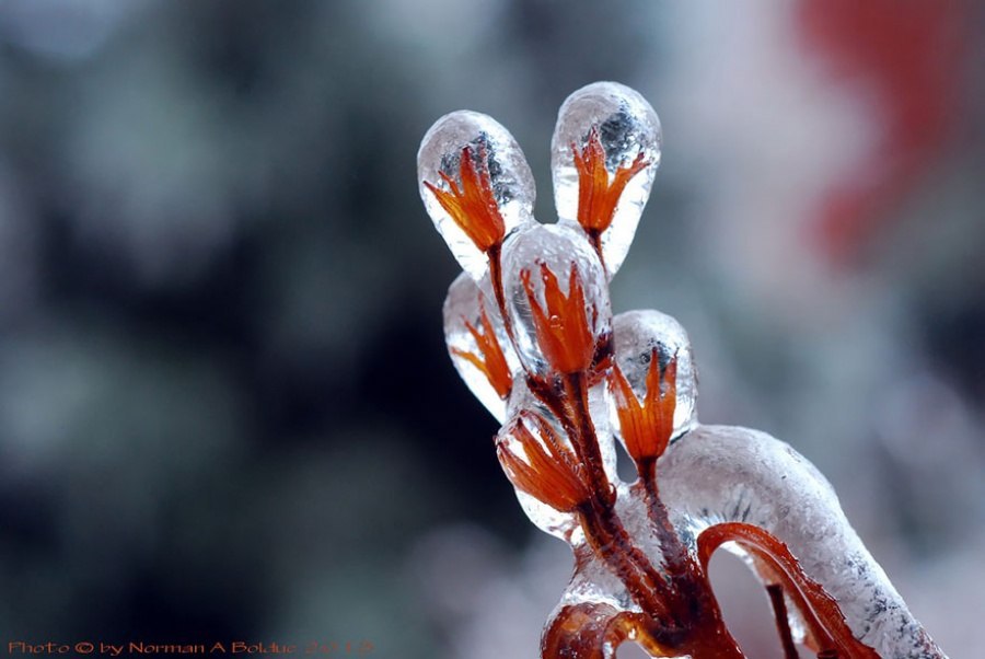   .#nature@interestplanet_ru - 5