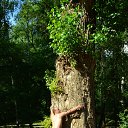 ���� Refs321, �������, 43 ���� - ��������� 8 ������ 2014 � ������ ���� ����������