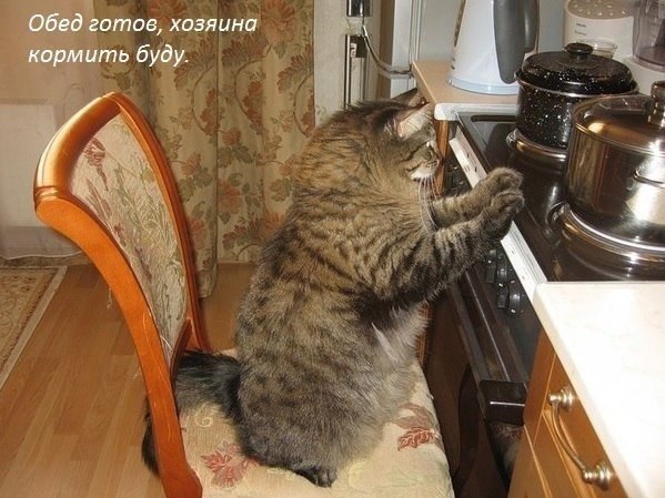    |   - 28  2014  16:33