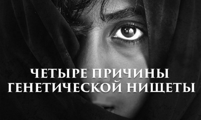 4 причины генетической нищеты. Истории, которые изменят ваше представление о бедности. Где находятся ...