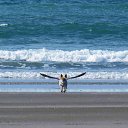 ���� ������, �������������� - ��������� 9 ������ 2014 � ������ ������ ��������