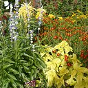 ���� ����, ������, 56 ��� - ��������� 28 �������� 2014 � ������ �������