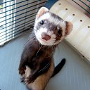 ���� ������, ������, 45 ��� - ��������� 29 ������� 2014 � ������ ���� ����������