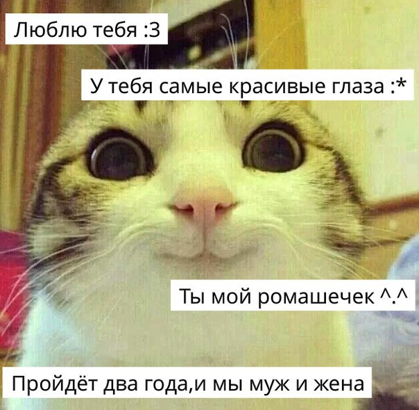 �������� ������� - 6 �������� 2014 � 07:59