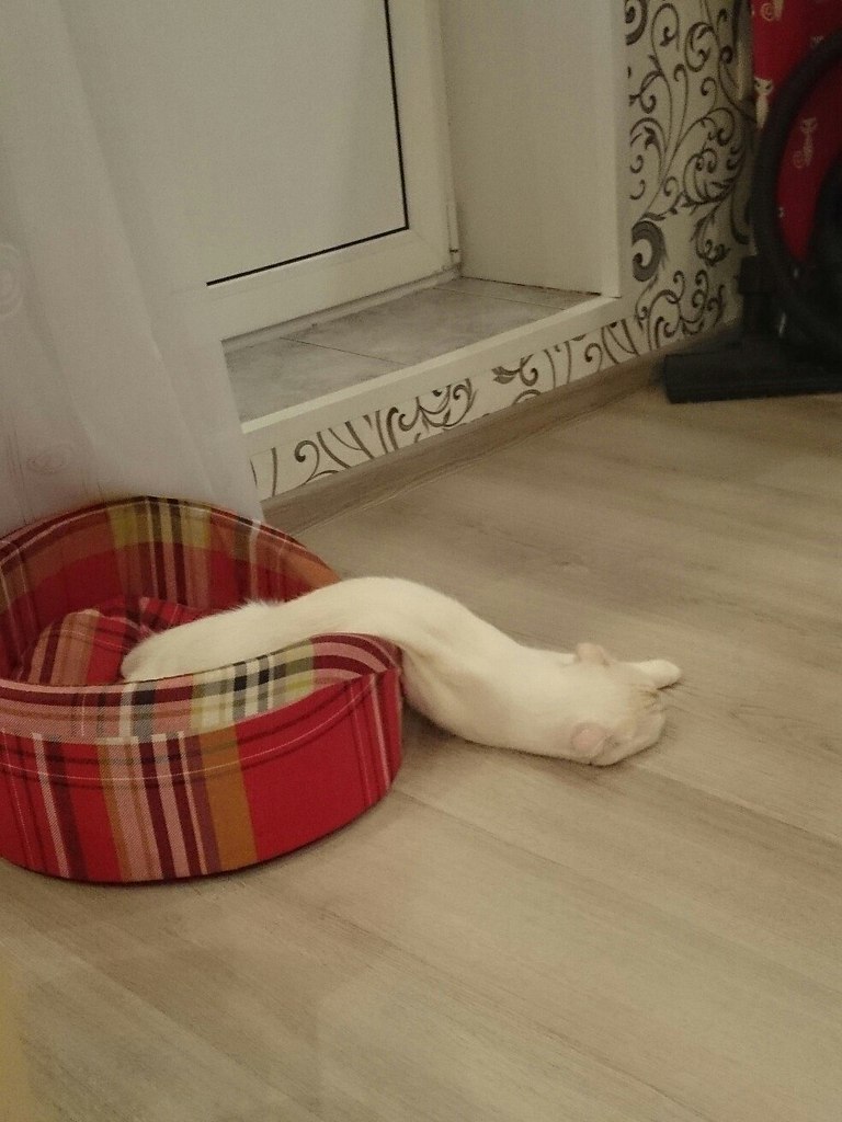    - 2
