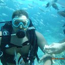 ���� ���������, ������-���, 41 ��� - ��������� 29 ������� 2014 � ������ ���� ����������