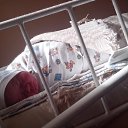 ���� ������, ����������, 33 ���� - ��������� 25 �������� 2014 � ������ ���� ����������