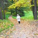 ���� ���������, �����-��������� - ��������� 5 ������� 2014