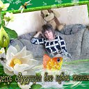 �������� ������, �������� � ���� �����, � ����������� ������� �� �����. �� ������� ������ ��������