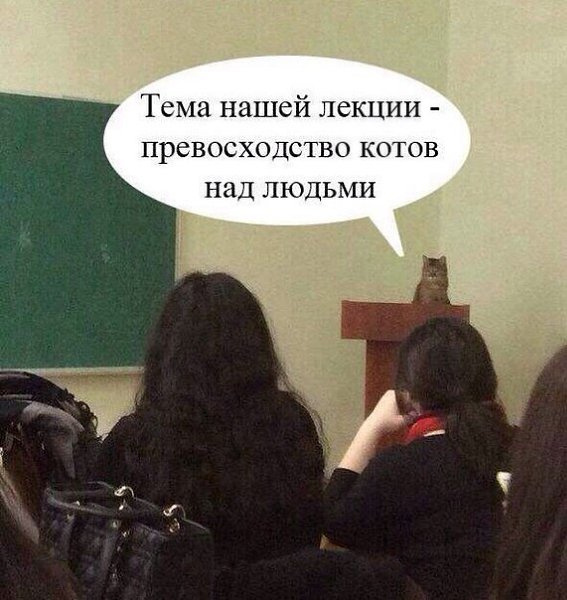 ��� ���� � ����� �� �� - 27 �������� 2014 � 20:45