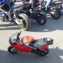 ���� ����, �����-���������, 34 ���� - ��������� 4 ������� 2014 � ������ ������ ��������