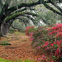 ����� ��� �)) �� ������� ��������