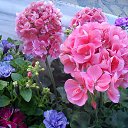 ���� �����, ���� - ��������� 6 ������ 2014 � ������ ������ ��������