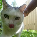 ���� �����, ������, 55 ��� - ��������� 24 ������� 2014 � ������ ���� ����������