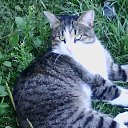 ���� ���-�� �������, ������, 47 ��� - ��������� 28 ������ 2014 � ������ ���� ����������