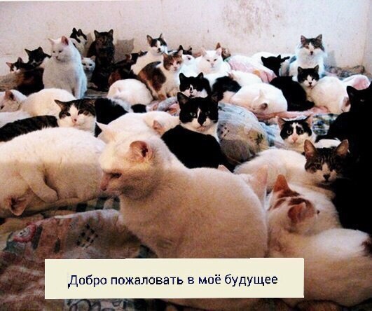 tumblr - 2  2014  09:41
