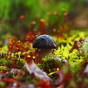 ���� �����, �����-��������� - ��������� 28 ������� 2014 � ������ �������� ����� 2014�