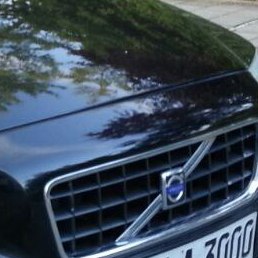 Albert, �������, 53 ����