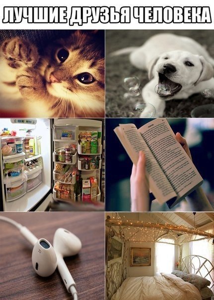 Многие поддержат.