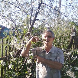 ����, ��������, 63 ����